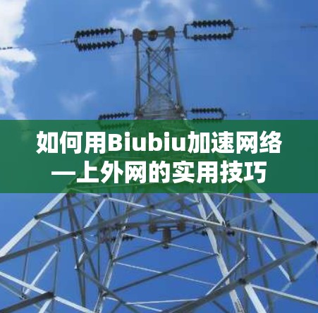 如何用Biubiu加速网络—上外网的实用技巧 如何用Biubiu加速网络—上外网的实用技巧
