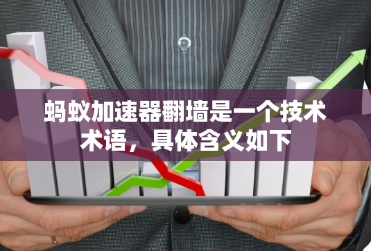 蚂蚁加速器翻墙是一个技术术语，具体含义如下