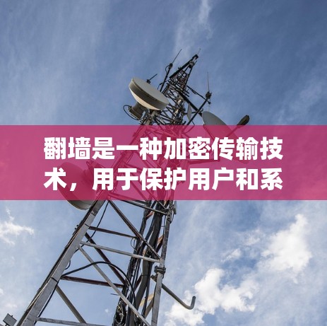 翻墙是一种加密传输技术，用于保护用户和系统数据的安全。以下是对如何使用翻墙工具的详细步骤的总结