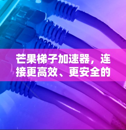 芒果梯子加速器，连接更高效、更安全的网络