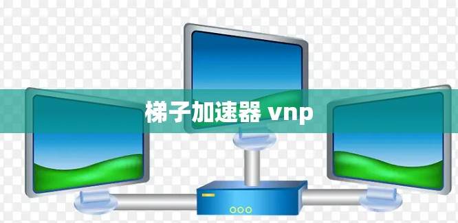 梯子加速器 vnp