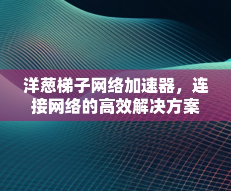 洋葱梯子网络加速器，连接网络的高效解决方案