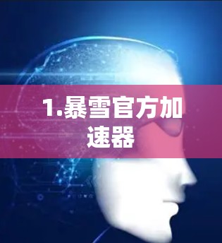 1.暴雪官方加速器