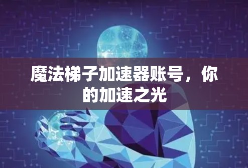 魔法梯子加速器账号，你的加速之光