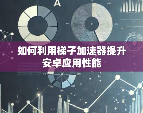 如何利用梯子加速器提升安卓应用性能