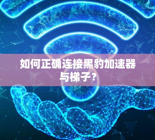如何正确连接黑豹加速器与梯子？