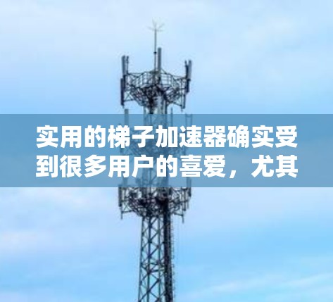 实用的梯子加速器确实受到很多用户的喜爱，尤其是那些经常需要爬楼的人群。以下是一些性价比高的实用梯子加速器推荐，供您参考