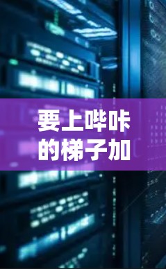 要上哔咔的梯子加速器，可以按照以下步骤操作