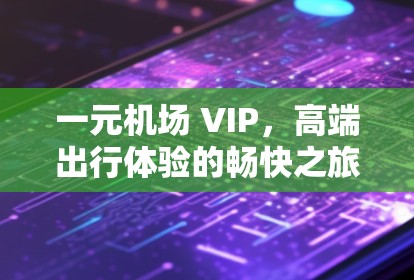 一元机场 VIP，高端出行体验的畅快之旅