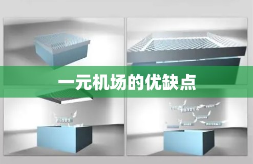 一元机场的优缺点