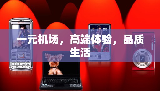 一元机场，高端体验，品质生活