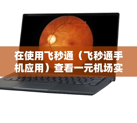 在使用飞秒通（飞秒通手机应用）查看一元机场实时情况时，可以按照以下步骤进行