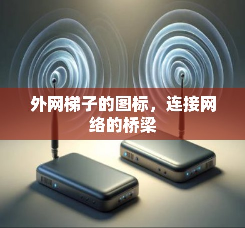 外网梯子的图标，连接网络的桥梁
