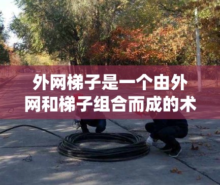 外网梯子是一个由外网和梯子组合而成的术语，通常指的是用于连接外部网络与内部网络的工具或系统。以下是对此术语的详细解释