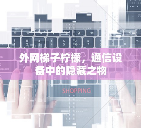 外网梯子柠檬，通信设备中的隐藏之物