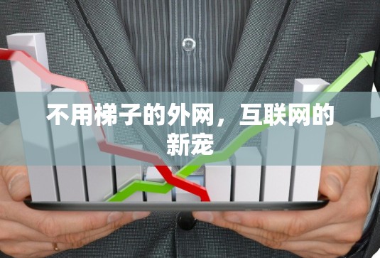 不用梯子的外网，互联网的新宠