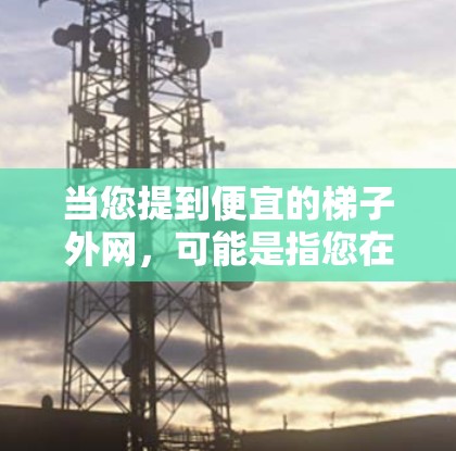 当您提到便宜的梯子外网，可能是指您在购买梯子时，对外网的材料、设计或性能有特定要求。以下是一些可能的解释和建议