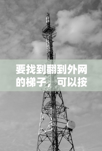 要找到翻到外网的梯子，可以按照以下步骤进行