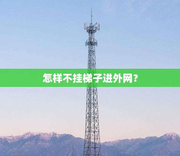 怎样不挂梯子进外网？