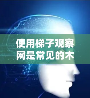 使用梯子观察网是常见的木工技能之一，以下是详细的步骤和注意事项