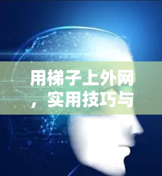用梯子上外网，实用技巧与安全提示