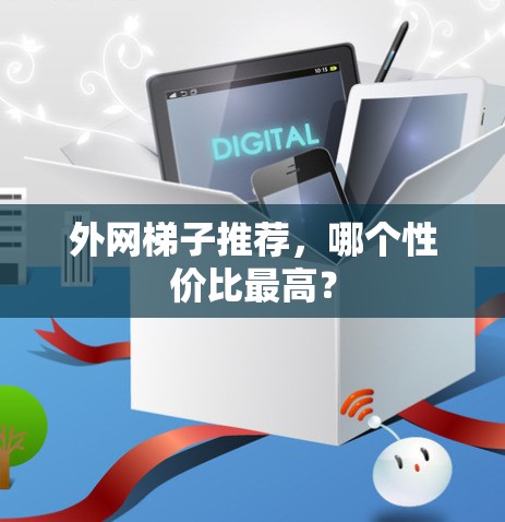 外网梯子推荐，哪个性价比最高？