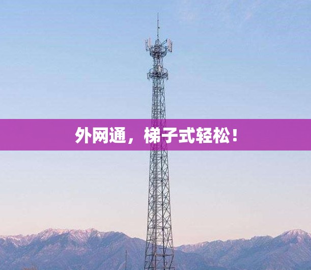外网通，梯子式轻松！