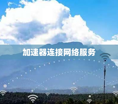 加速器连接网络服务