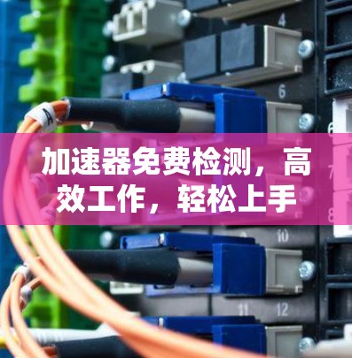 加速器免费检测，高效工作，轻松上手