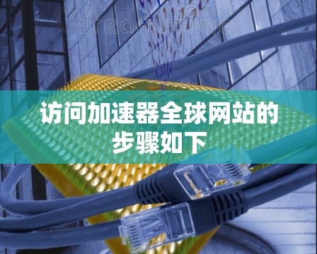 访问加速器全球网站的步骤如下