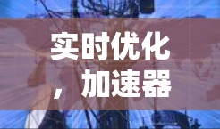 实时优化，加速器的未来方向