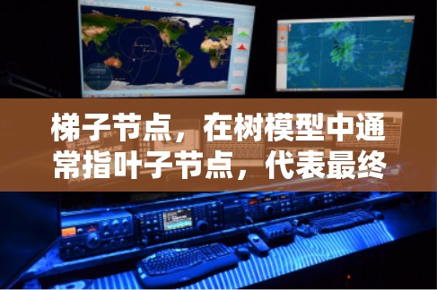 梯子节点，在树模型中通常指叶子节点，代表最终的分类或回归结果。它们的特征需满足以下条件