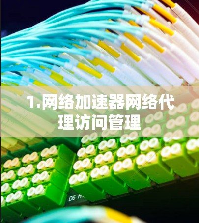 1.网络加速器网络代理访问管理