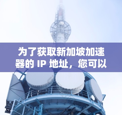 为了获取新加坡加速器的 IP 地址，您可以按照以下步骤进行