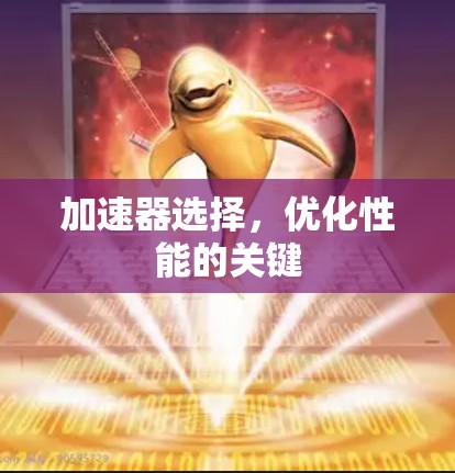 加速器选择，优化性能的关键