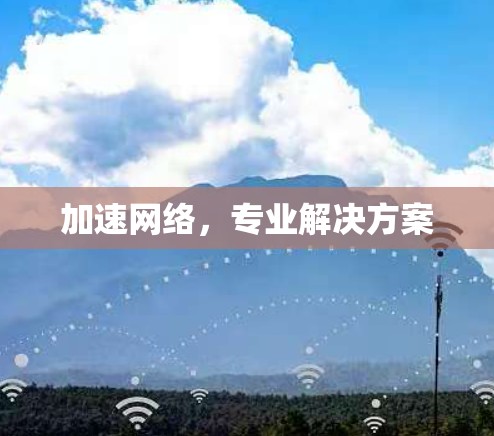 加速网络，专业解决方案