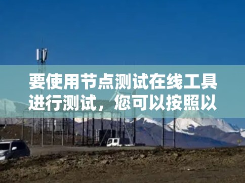 要使用节点测试在线工具进行测试，您可以按照以下步骤操作