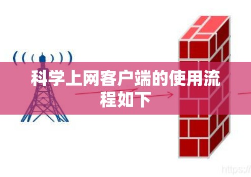 科学上网客户端的使用流程如下