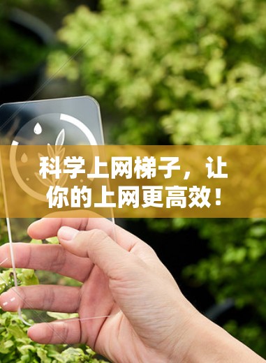 科学上网梯子，让你的上网更高效！