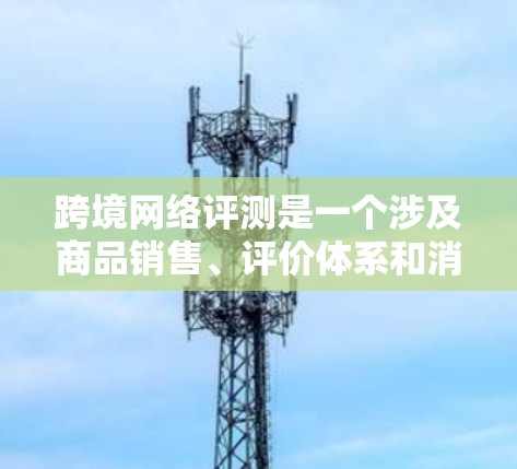 跨境网络评测是一个涉及商品销售、评价体系和消费者需求的复杂领域。以下是对这一主题的分步骤总结和分析