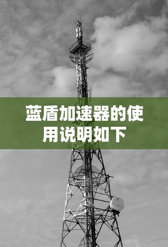 蓝盾加速器的使用说明如下