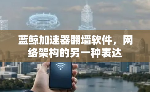 蓝鲸加速器翻墙软件，网络架构的另一种表达