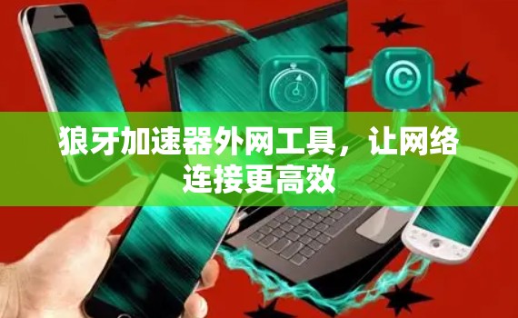 狼牙加速器外网工具，让网络连接更高效