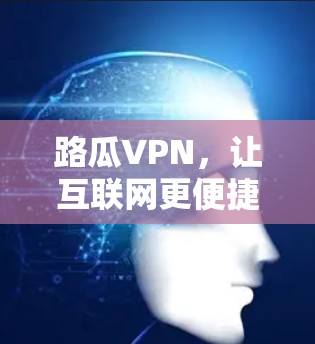 路瓜VPN，让互联网更便捷