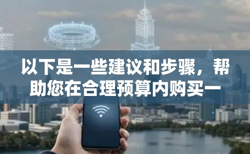 以下是一些建议和步骤，帮助您在合理预算内购买一元机场节点