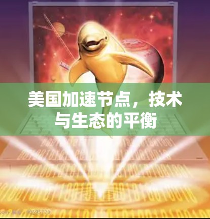 美国加速节点，技术与生态的平衡