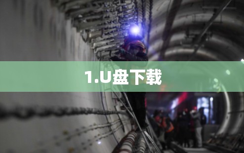 1.U盘下载 1.U盘下载