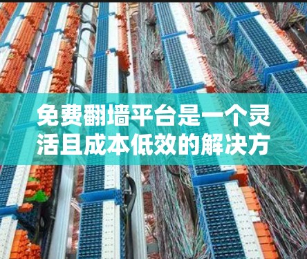 免费翻墙平台是一个灵活且成本低效的解决方案，适合那些希望节省流量成本或降低运营负担的用户。以下是对这些平台的详细介绍