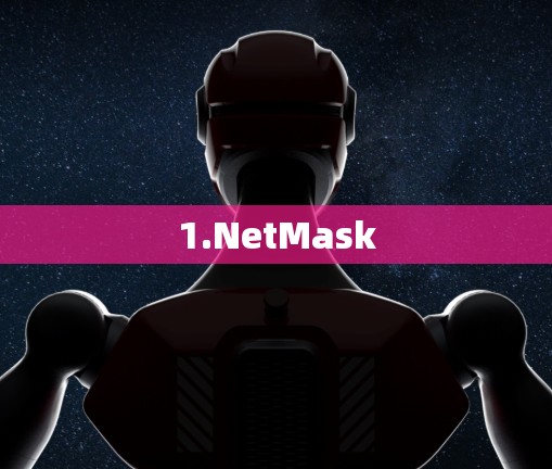 1.NetMask