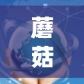 蘑菇VPN电脑版客户端通常指的是一种用于VPN的软件，类似于G2VPN或类似的VPN工具。蘑菇VPN可能提供多种协议支持，如VPN、VPN、VPN等，但具体功能和特点会根据软件版本而有所不同